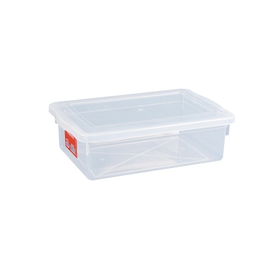 CAIXA ORGANIZADORA 5L PLASTICO RETANGULAR 33X22X10 320 - PLEION