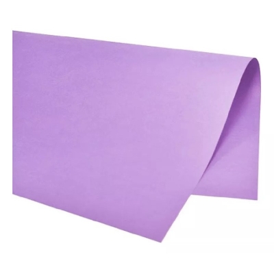 CARTOLINA 2 FACES LILAS 47X65 120G PCT/20UND 7509 - GRIFFE