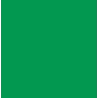 FOLHA EVA COMUM VERDE BANDEIRA 40X48 1,5MM C/10 UNIDADES 35678 - IBEL