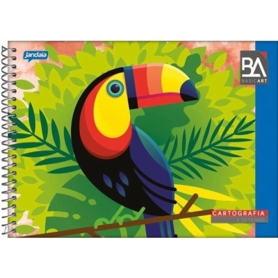 CADERNO ESPIRAL UNIVERSITARIO CAPA FLEXIVEL 96F DESENHO HORIZONTAL BASIC ART 1009 - JANDAIA